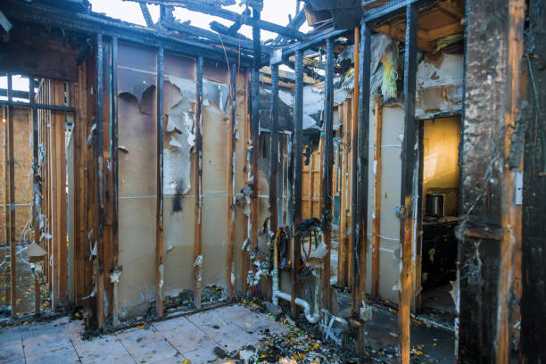 Professional Fire Damage Removal technician working in Grantsville, UT